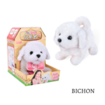 Bichon