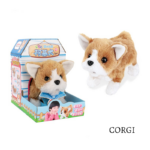 Corgi